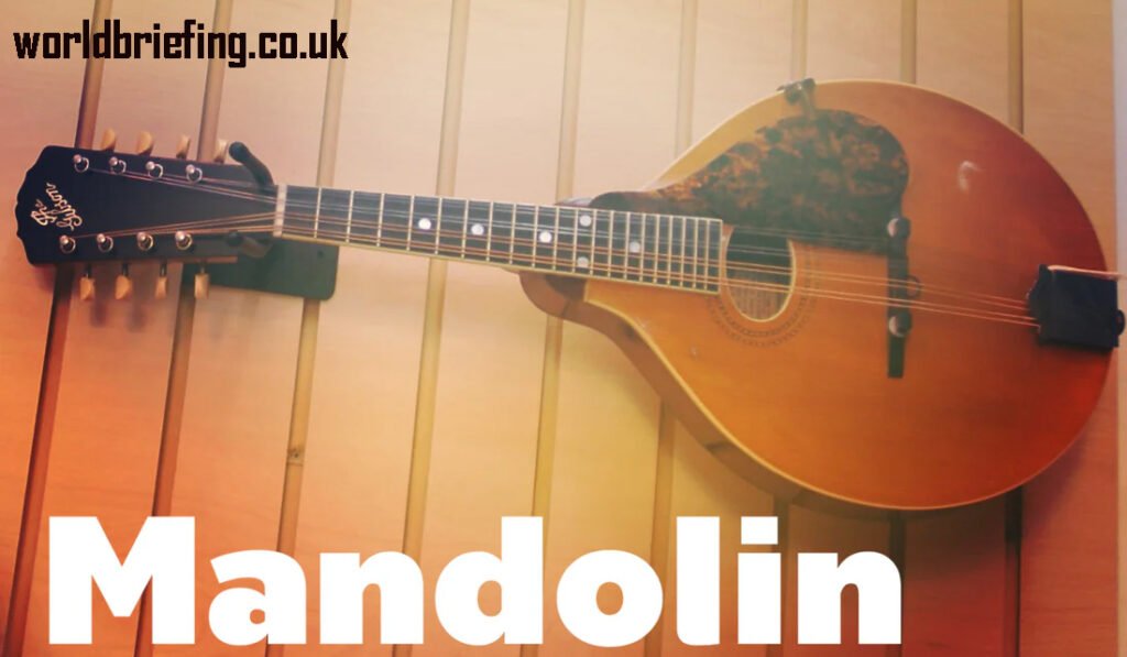 mandolin